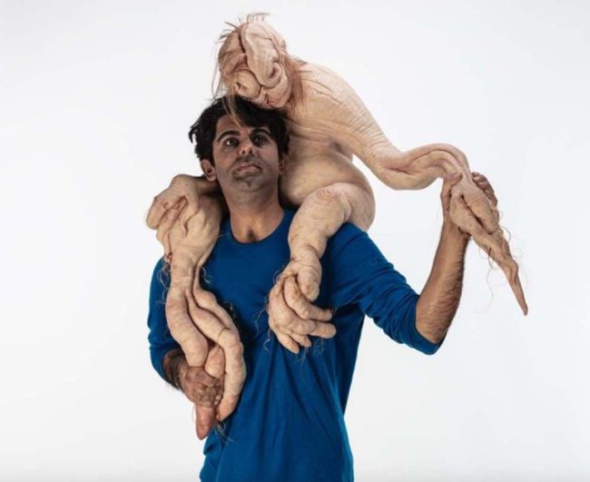 Picininni Sapling Sm 3