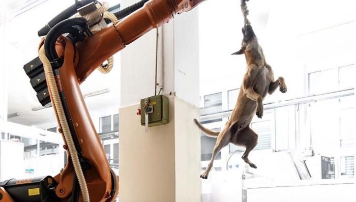 Smrekar Brute Force Imagesm